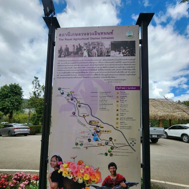 Waterfall Views & Foodie Dreams: Chom Thong’s Must-Try Eats 🇹🇭🌄