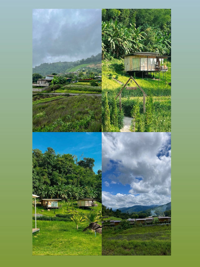 แดนดอย โฮมสเตย์ DanDoi แม่แตงเชียงใหม่ แดนดอย โฮมสเตย์ DanDoi แม่แตงเชียงใหม่