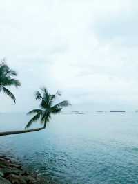 新加坡豪華度假攻略：从濱海灣金沙酒店到聖淘沙島