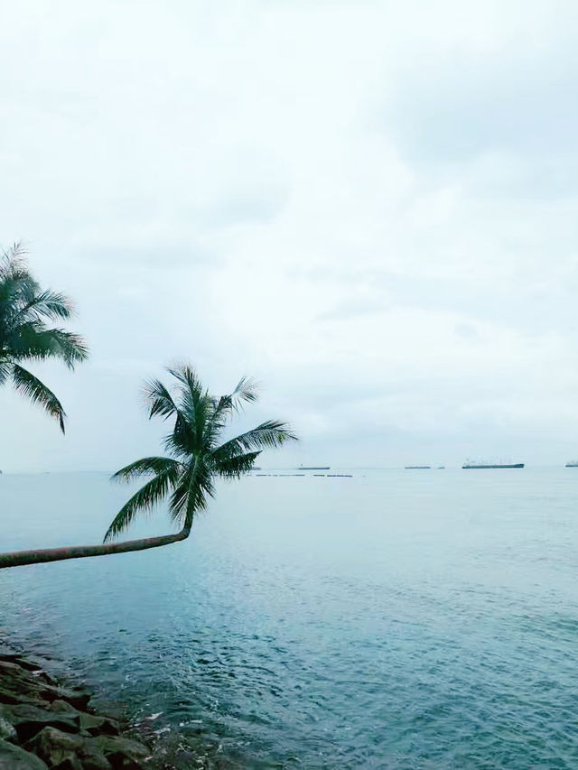 新加坡豪華度假攻略：从濱海灣金沙酒店到聖淘沙島