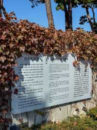 가을을 느끼기 좋은 서울 공원 추천