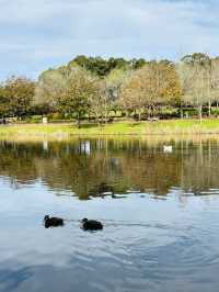🌿悉尼北區秘境一日遊|離城市最近的「世界公園」