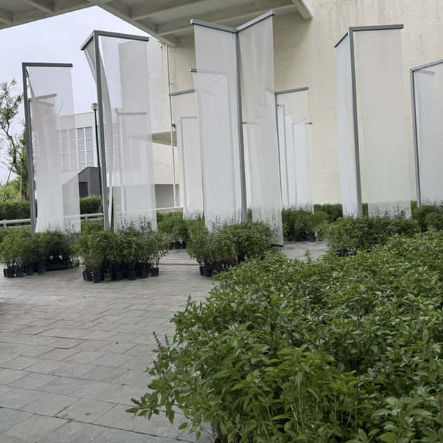 台北∣北美館2025台北雙年展∣ 走進 30+ 城市的心事