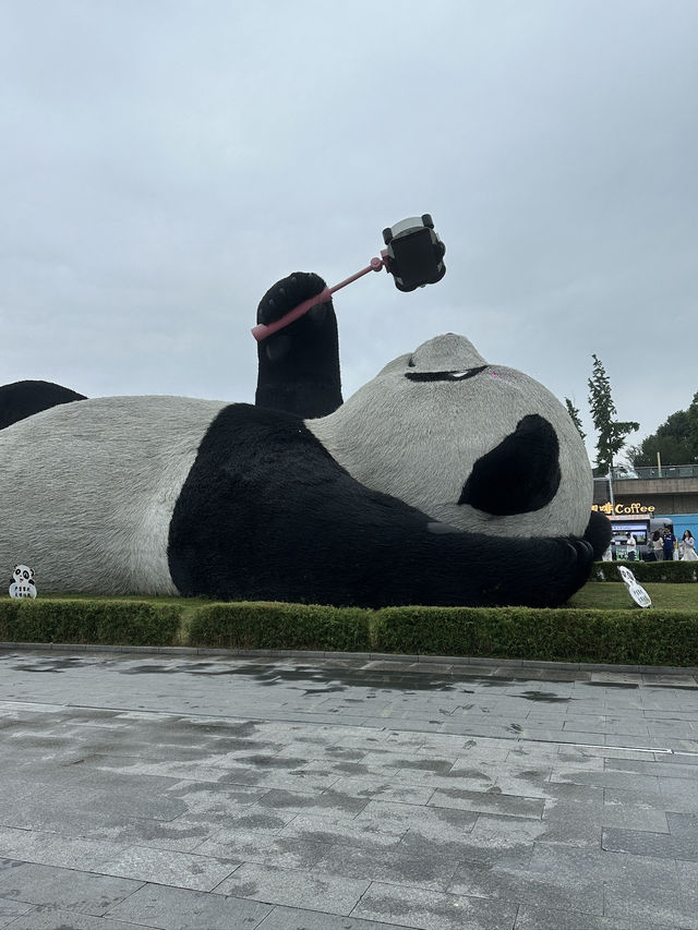8 Days in Chengdu