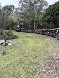 Australia’s Dreamy Adventures: Gold Coast Thrills & Melbourne Views 🏖️🌆