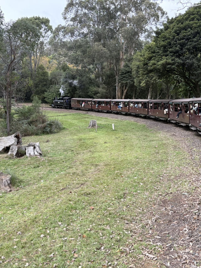 Australia’s Dreamy Adventures: Gold Coast Thrills & Melbourne Views 🏖️🌆