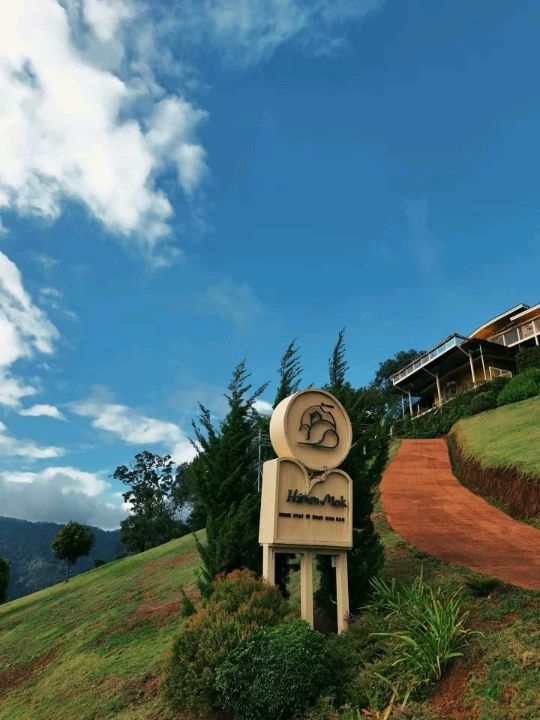 แนะนำโฮมสเตย์ชมทะเลหมอกที่ห้วยกุ๊บกั๊บ #เชียงใหม่