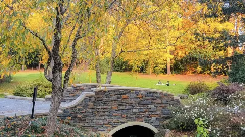 Vườn Sarah P. Duke — traveler post in Durham