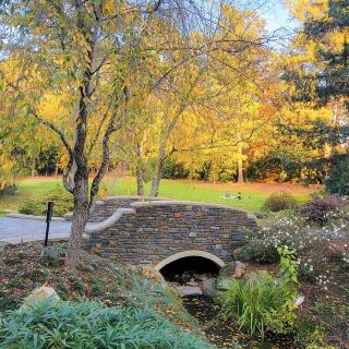 Сара П. Сады Дьюка