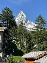 자연하면.. 스위스 그리고 뉴질랜드