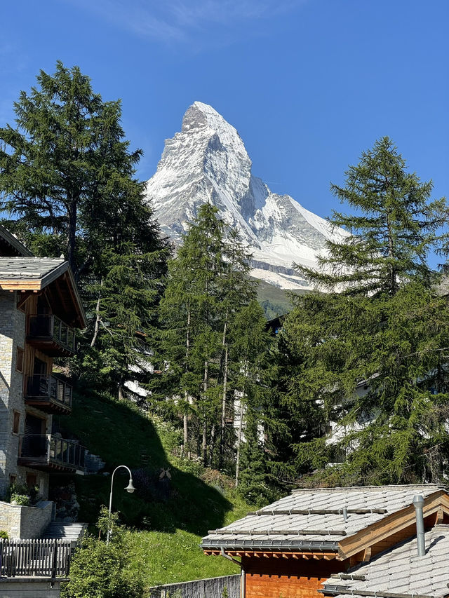 자연하면.. 스위스 그리고 뉴질랜드 자연하면.. 스위스 그리고 뉴질랜드