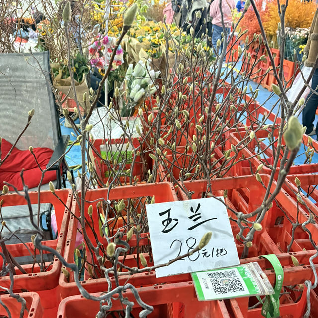 영원한 봄의 도시, 꽃이 지지않는 쿤밍