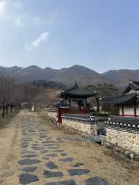 Epic Yongin Photo Ops | Snap Your Next Drama Moment! 📸✨