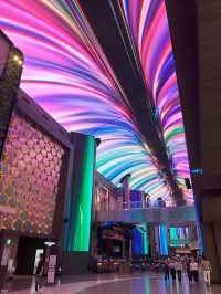 따뜻한 조명과 함께한 겨울밤 인스파이어 후기