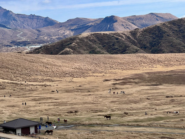 🍂秋日阿蘇山:米塚的金色光影、草千里的高原風、火山的震撼能量 🍂秋日阿蘇山:米塚的金色光影、草千里的高原風、火山的震撼能量