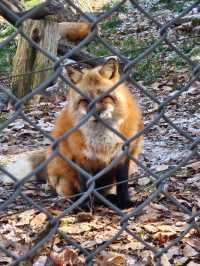 🐯동물들을 사랑하는 동물원 청주랜드동물원 다녀오기🦁