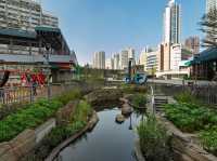 A Liquid Jewel in a Stone Setting