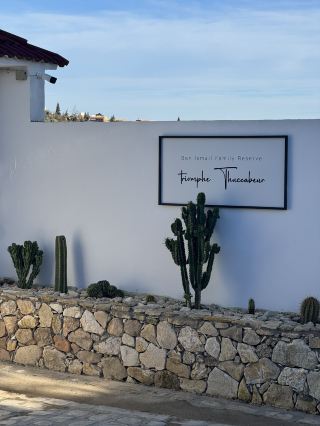 🌿 ประสบการณ์ท้องถิ่นใกล้เมืองตูนิส: ฟาร์มผลิตน้ำมันมะกอกเบน อิสมาอิล 🫒