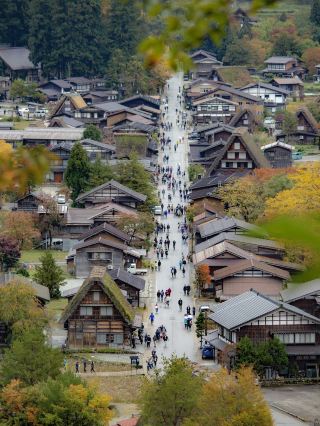 Fairytale Dreamy Mountain Village Experience: Shirakawa 🏔️⛩️