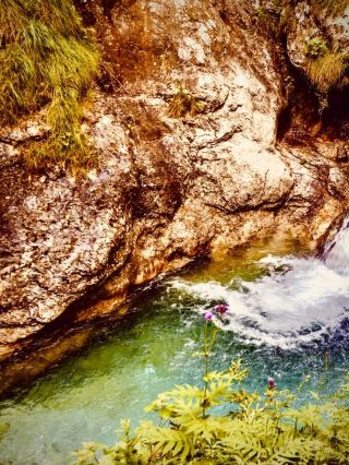 Myanmar Hsipaw Mogok Mossy Ruby Land Forest Trackeasytravelpost #MogokRubyLand #HsipawTrack #MossyF