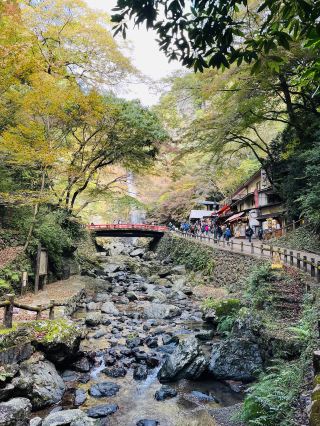 Minoh Falls : A Little Epic Moment in Osaka 🍃💦