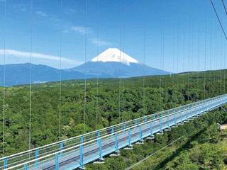 What to Do in Mishima? 9 Hidden Gems in Japan's Beautiful City of Water!