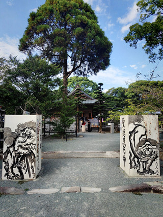 獨遊 vs 跟團：我鍾意邊樣多啲？