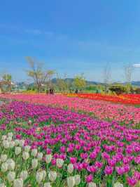 사랑의 고백, 양산 황산공원🌷