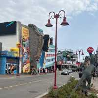 Niagara Carnival and Falls