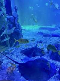 The Oceana Aquarium - Haikou