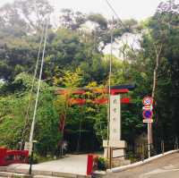 【静岡県🇯🇵熱海】パワースポットで運気アップ☺️マイナスイオンに癒されながらリフレッシュ時間