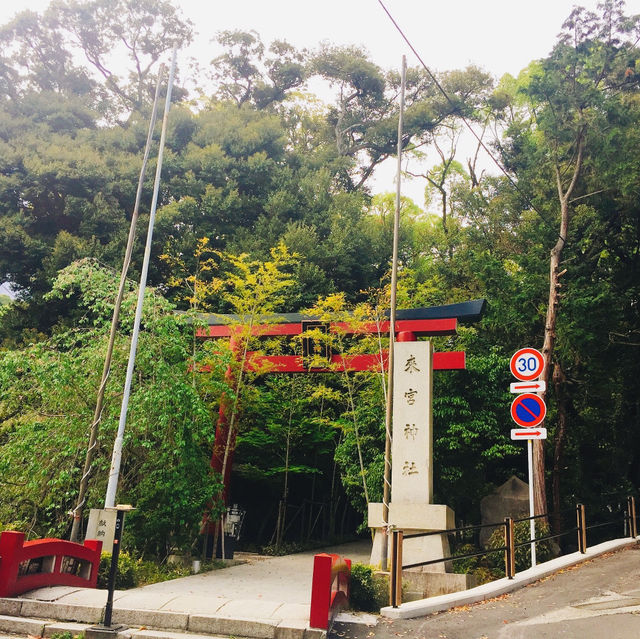 【静岡県🇯🇵熱海】パワースポットで運気アップ☺️マイナスイオンに癒されながらリフレッシュ時間