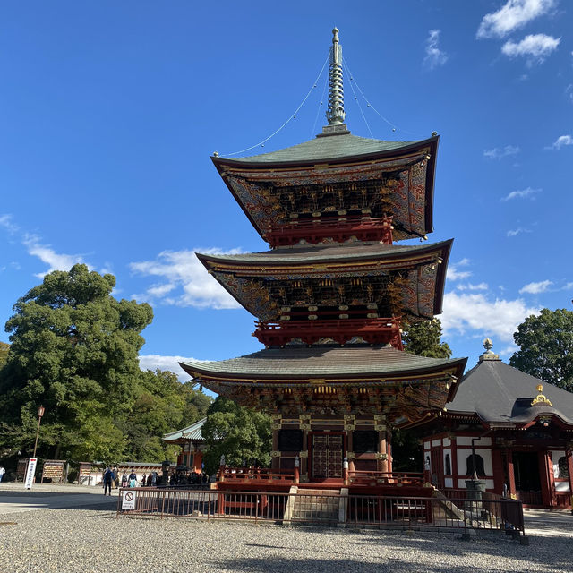【成田🇯🇵成田山新勝寺】パワースポットへお参りに☺️