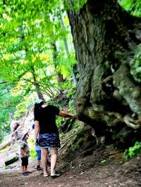 Roots, Rocks, and Rivers: Exploring Grand Ledge’s Hidden Trails
