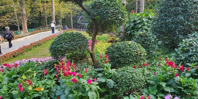 spring comes early🥰 Yuexiu Park Guangzhou