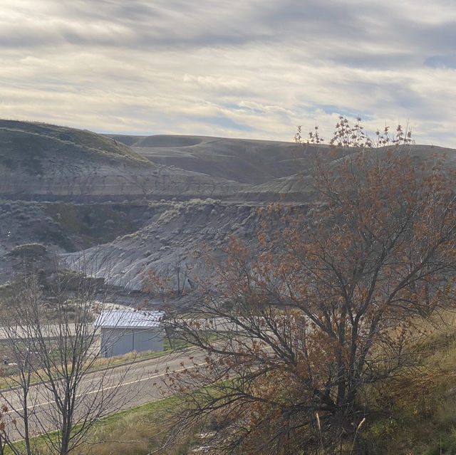 德拉姆赫勒谷 (Drumheller Valley)一日遊