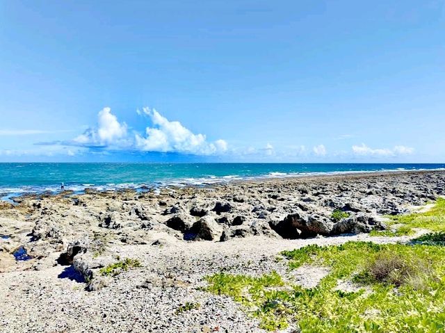 厚石海岸