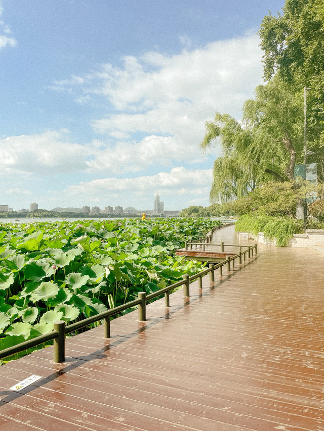 Peaceful Afternoon at Xuanwu Lake 🌿✨