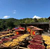桂峰古村落充滿歷史韻味的地方