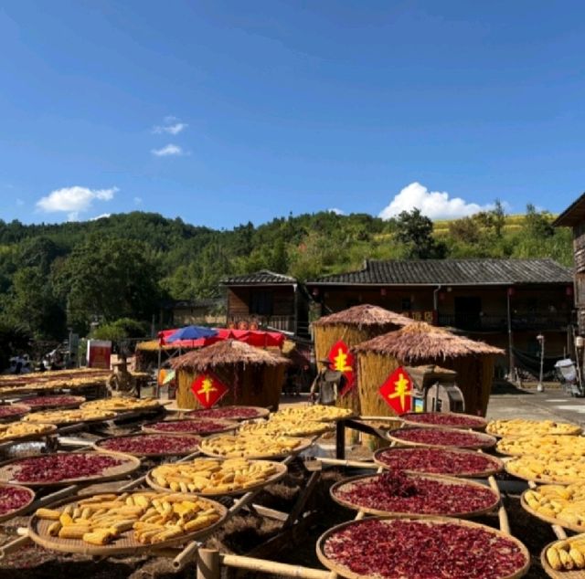 桂峰古村落充滿歷史韻味的地方