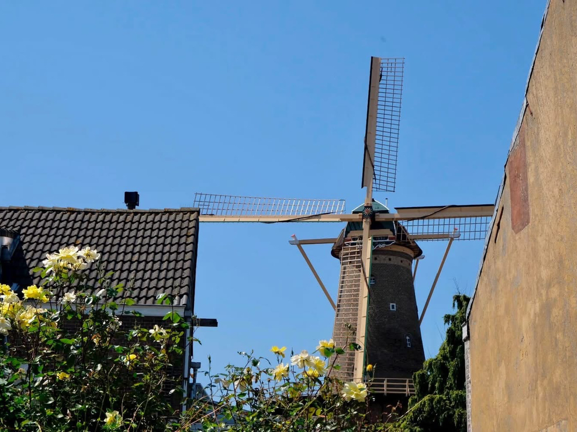 [Hà Lan - Den Haag & Delft]