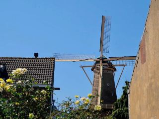 [เนเธอร์แลนด์ - เดน ฮาก และ เดลฟต์]