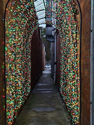 Bright Winter Festival 