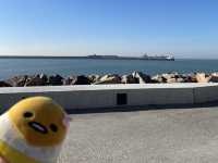 法國諾曼第隱藏藝術家之地- Le Havre 🏖️