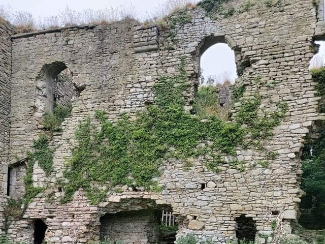 Clonmore Castle in Ireland 🇦🇺