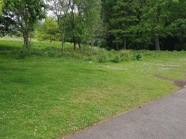Grovelands Park London 🇬🇧