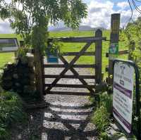 英國湖區 Keswick 迷你巨石陣