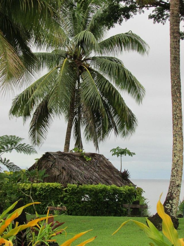 Hidden Gem of the Pacific: Taveuni