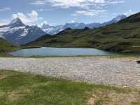 Alpine Adventures in Grindelwald