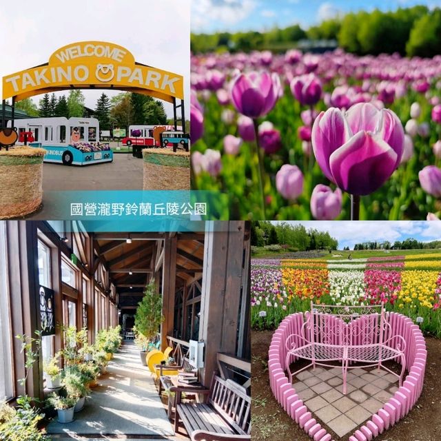 🌸國營瀧野鈴蘭丘陵公園🌸一整片鬱金香花海